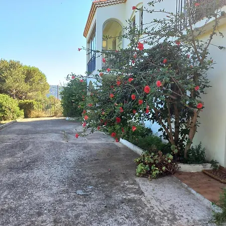 Lemon Casa vacanze *